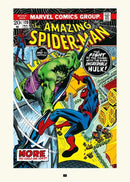The Art of the Amazing Spider-Man US - Hardback