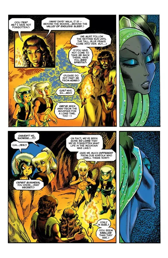 ElfQuest: The Original Quest: Book 2--Forbidden Grove US - Hardback