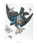 Sacred Decay: The Art of Lauren Marx (Second Edition) US - Hardback