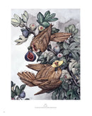 Sacred Decay: The Art of Lauren Marx (Second Edition) US - Hardback