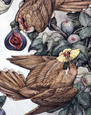 Sacred Decay: The Art of Lauren Marx (Second Edition) US - Hardback