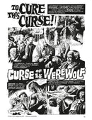 Eerie Archives Volume 11 (Double-Sized Volume) US - Paperback / softback