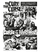 Eerie Archives Volume 11 (Double-Sized Volume) US - Paperback / softback