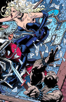 The Barb Wire Compendium US - Paperback / softback