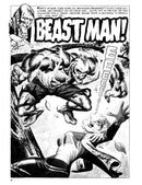 Creepy Presents: Steve Ditko US - Paperback / softback