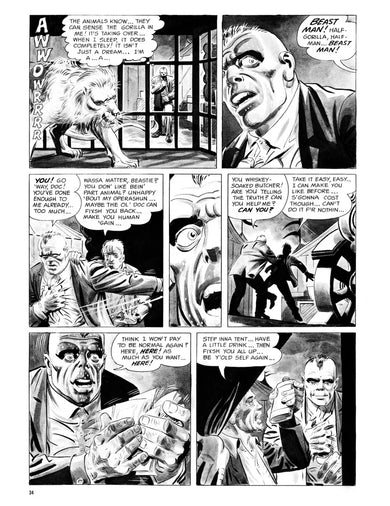 Creepy Presents: Steve Ditko US - Paperback / softback