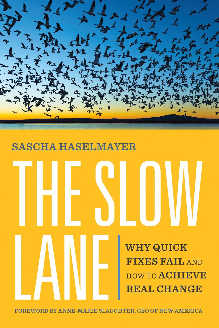 The Slow Lane-Business and Management-買書書 BuyBookBook