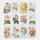 Roses US - Cards