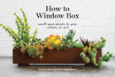 How to Window Box-Lifestyle and Leisure-買書書 BuyBookBook