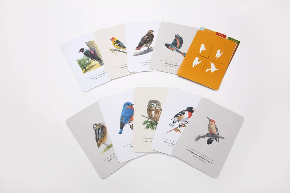 Sibley Birds of Land, Sea, and Sky US - Cards