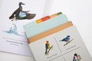 Sibley Birds of Land, Sea, and Sky US - Cards