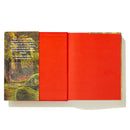 The Eyes and the Impossible US - Hardback (9781524764203)