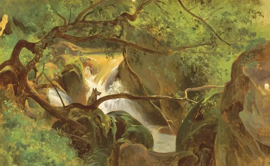 The Eyes and the Impossible US - Paperback / softback