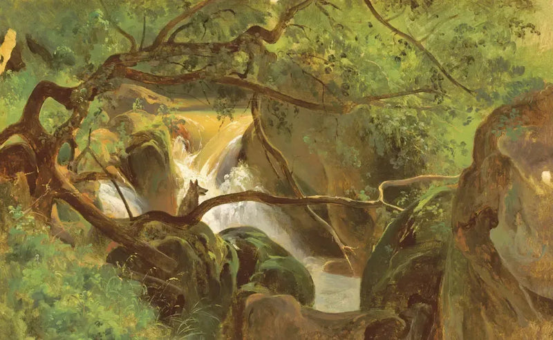 The Eyes and the Impossible US - Paperback / softback