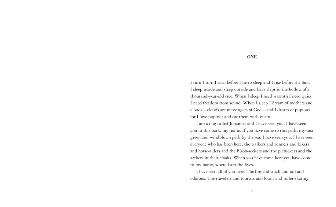 The Eyes and the Impossible US - Paperback / softback