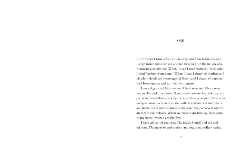 The Eyes and the Impossible US - Paperback / softback