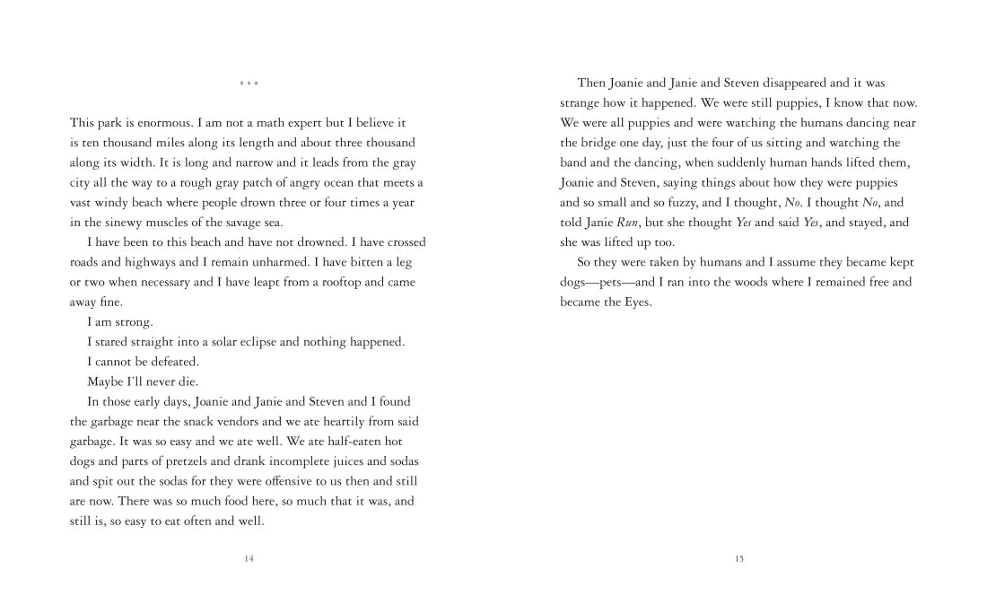 The Eyes and the Impossible US - Paperback / softback