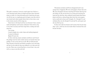 The Eyes and the Impossible US - Paperback / softback