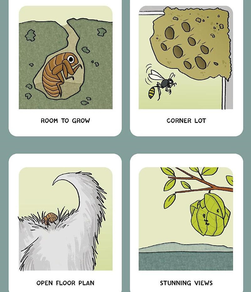 Burt the Beetle #02 Burt the Beetle Lives Here! (Ashley Spires)-Fiction: 幽默搞笑 Humorous-買書書 BuyBookBook