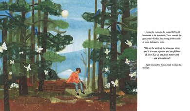 Hope Is an Arrow US - Hardback