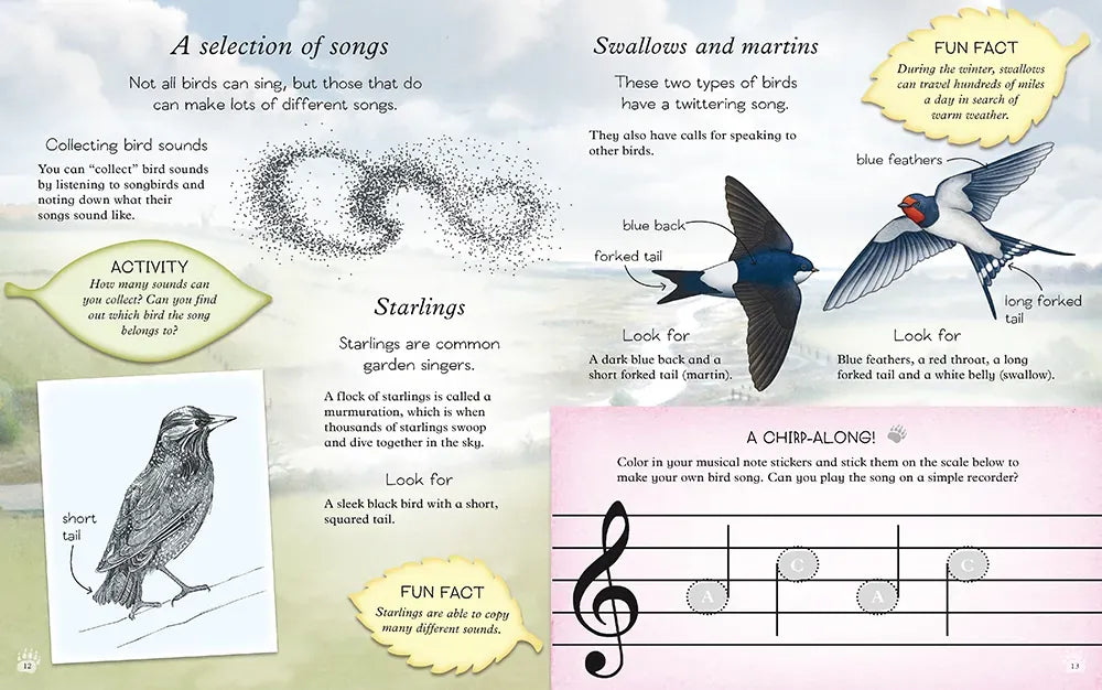 We're Going On a Bear Hunt: Let's Discover Birds US - Paperback / softback