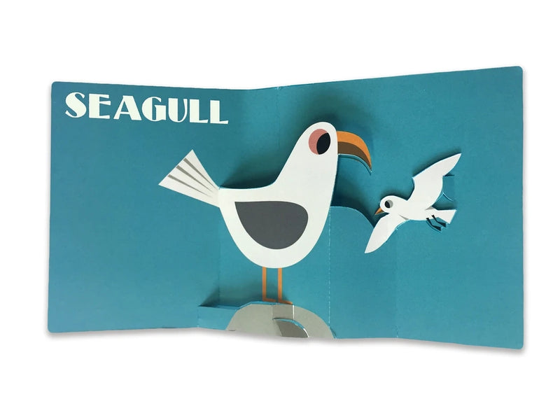 Pop-up Ocean US - Hardback