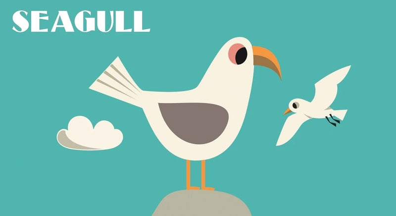 Pop-up Ocean US - Hardback