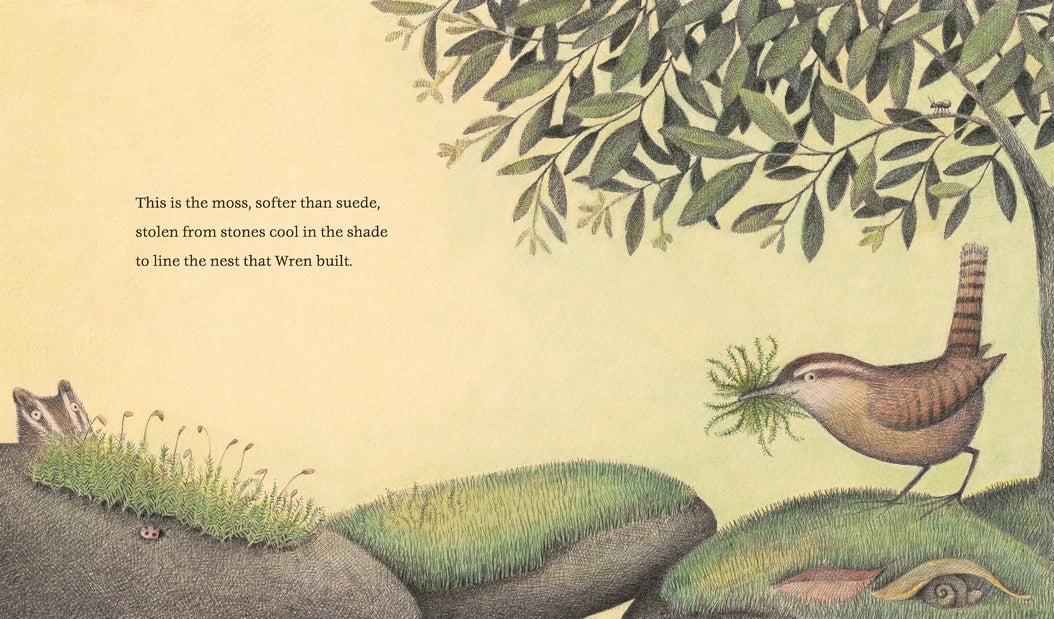 The Nest That Wren Built US - Hardback
