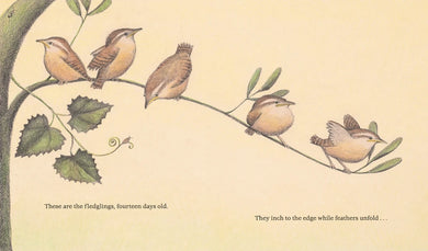 The Nest That Wren Built US - Hardback