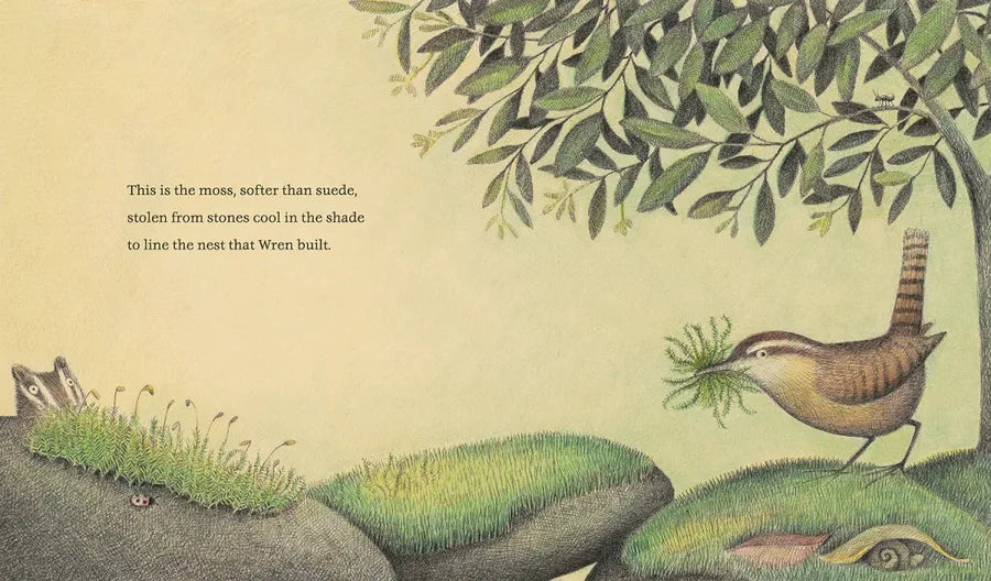 The Nest That Wren Built US - Hardback