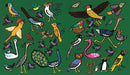 Hooray for Birds! US - Board book