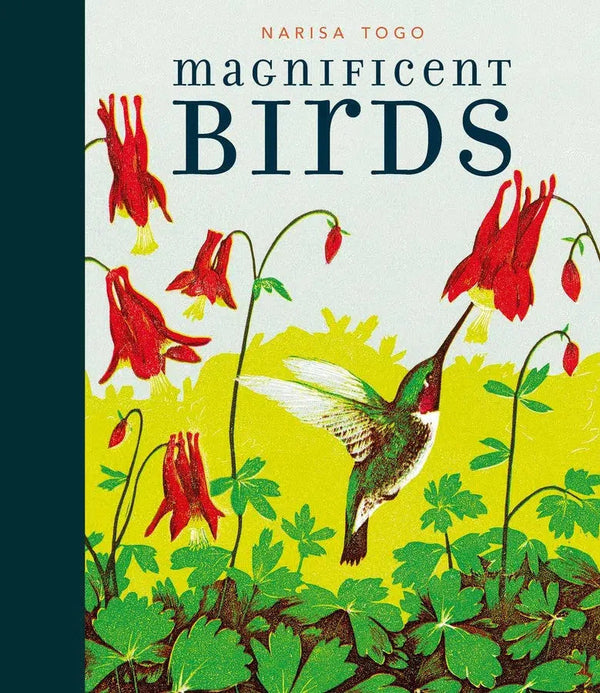 Magnificent Birds-Children’s / Teenage general interest: Nature and animals-買書書 BuyBookBook