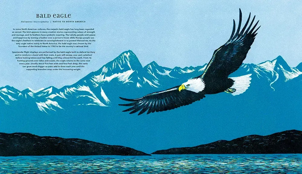 Magnificent Birds US - Hardback