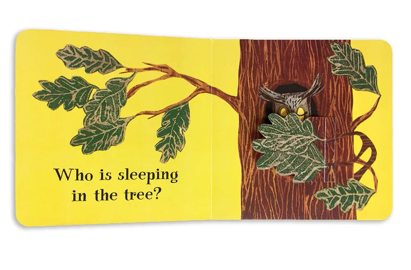 Who Is Sleeping? US - Board book