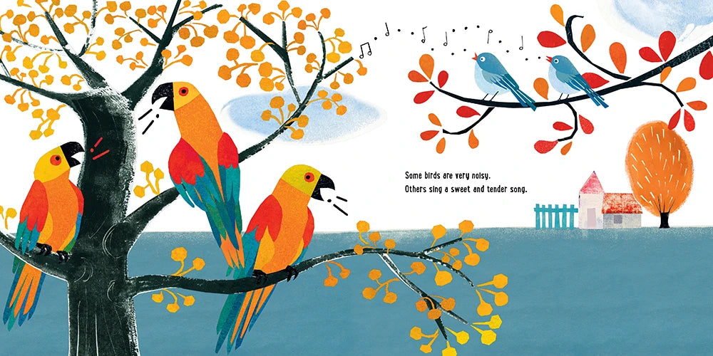 Birds US - Hardback