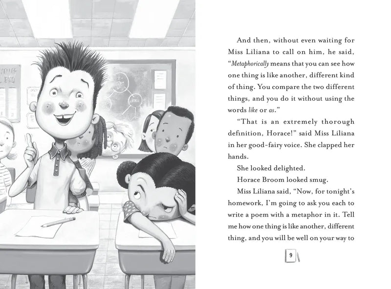 Stella Endicott and the Anything-Is-Possible Poem US - Hardback