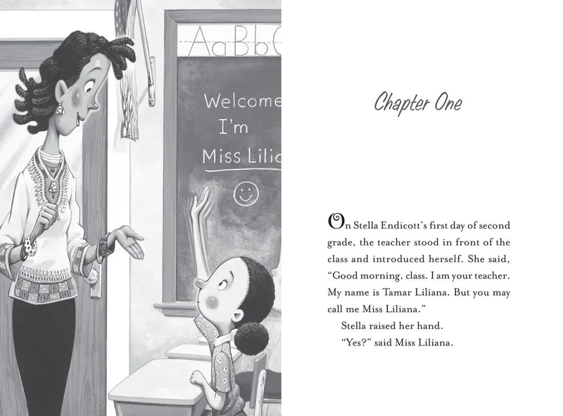 Stella Endicott and the Anything-Is-Possible Poem US - Hardback