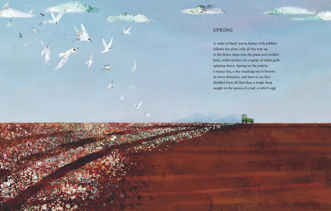 Marshmallow Clouds US - Hardback