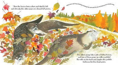 Otters Love to Play US - Paperback / softback