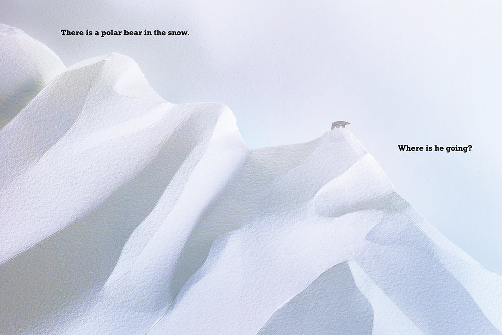 A Polar Bear in the Snow US - Hardback