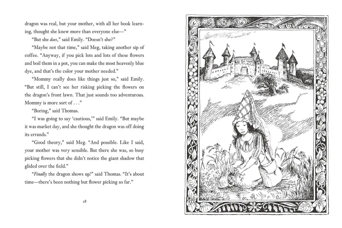 A Dragon Used to Live Here US - Hardback