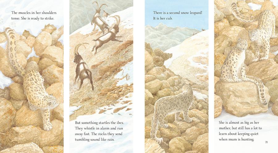 Snow Leopard: Ghost of the Mountains US - Hardback