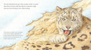 Snow Leopard: Ghost of the Mountains US - Hardback