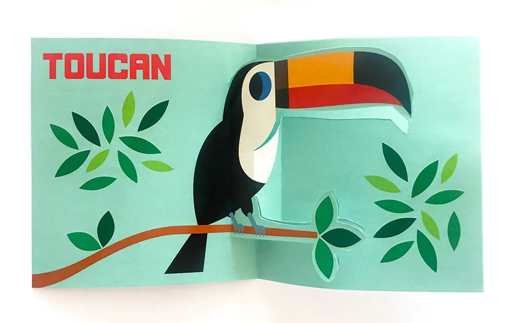 Pop-up Jungle US - Hardback