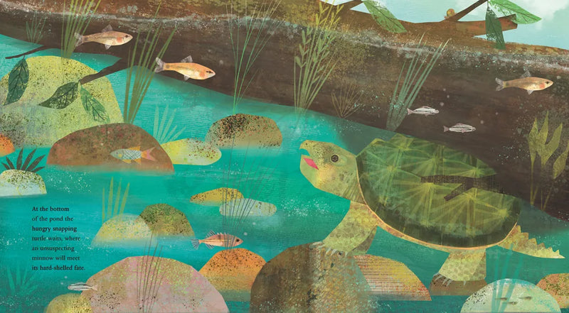 At the Pond US - Hardback