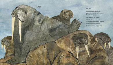 At the Poles US - Hardback