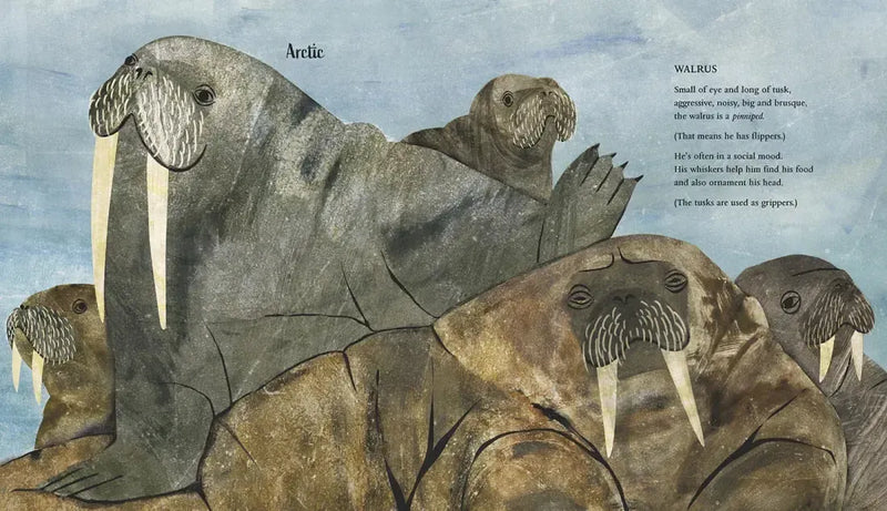 At the Poles US - Hardback