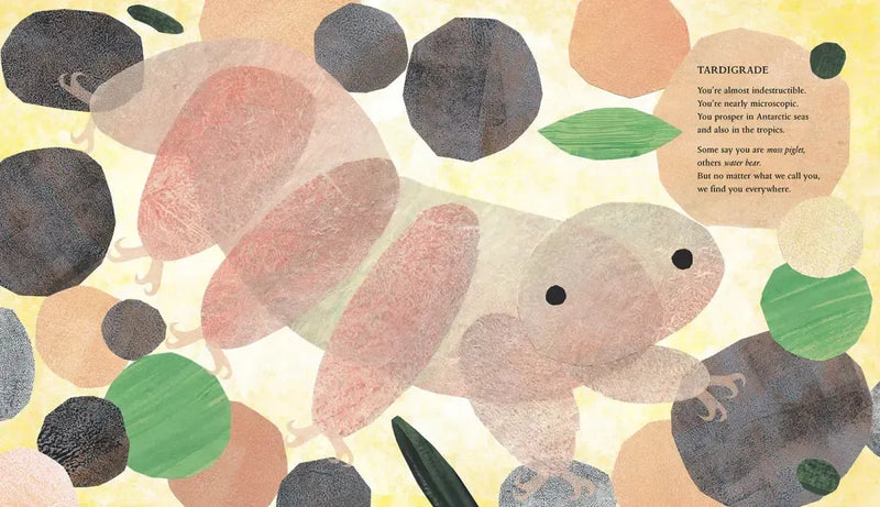 At the Poles US - Hardback