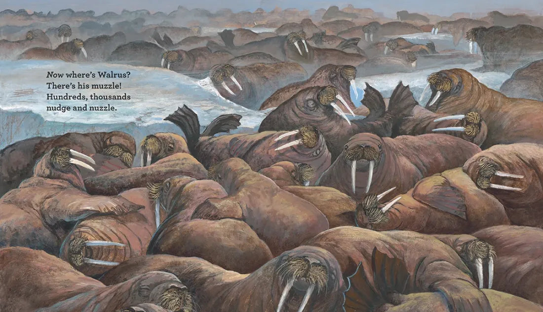 Walrus Song US - Hardback