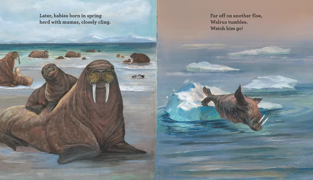 Walrus Song US - Hardback